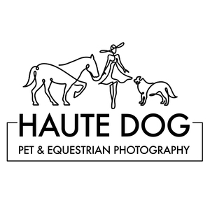 Fundraising Page: Haute Dog Pet Photography